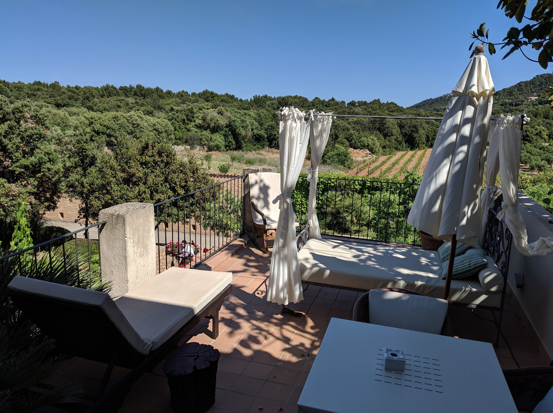 Predi Son Jaumell Hotel Rural主图