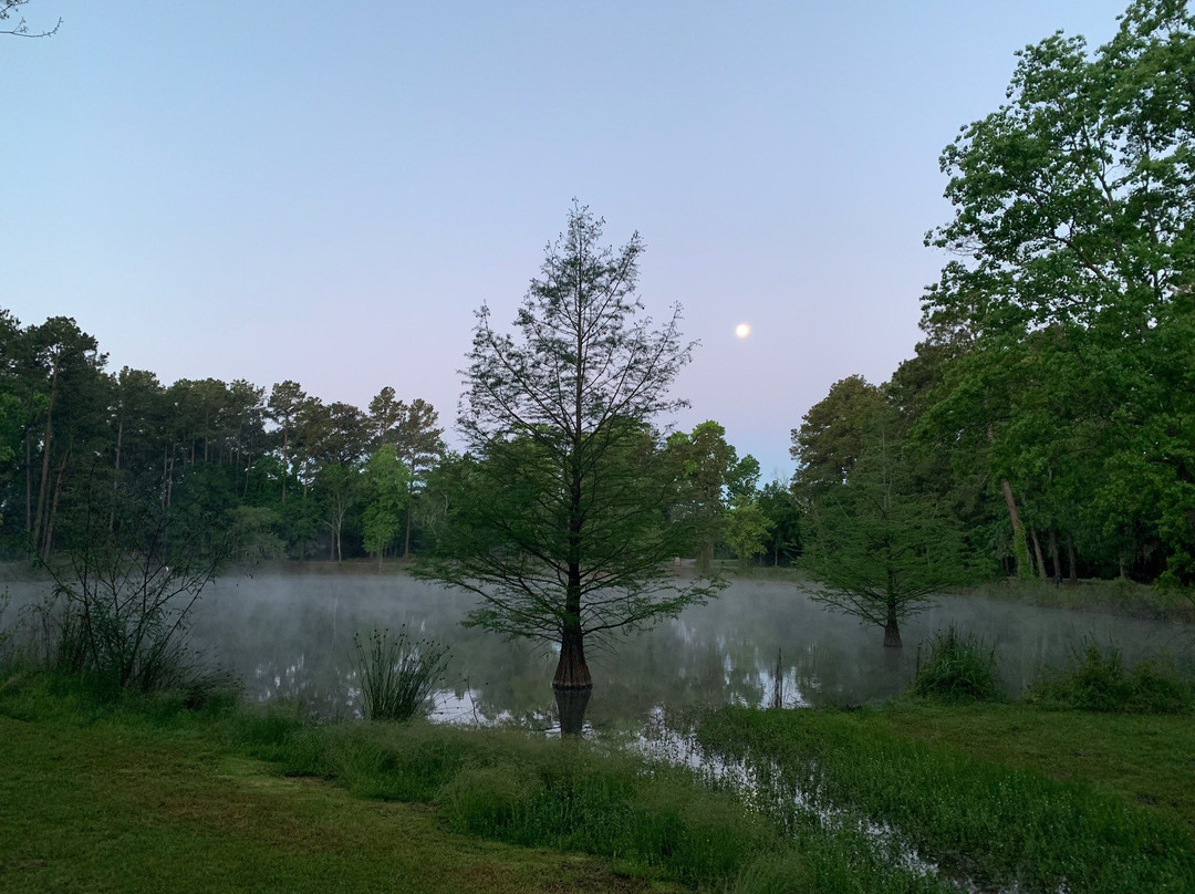 Meyer Park-斯普林必去景点