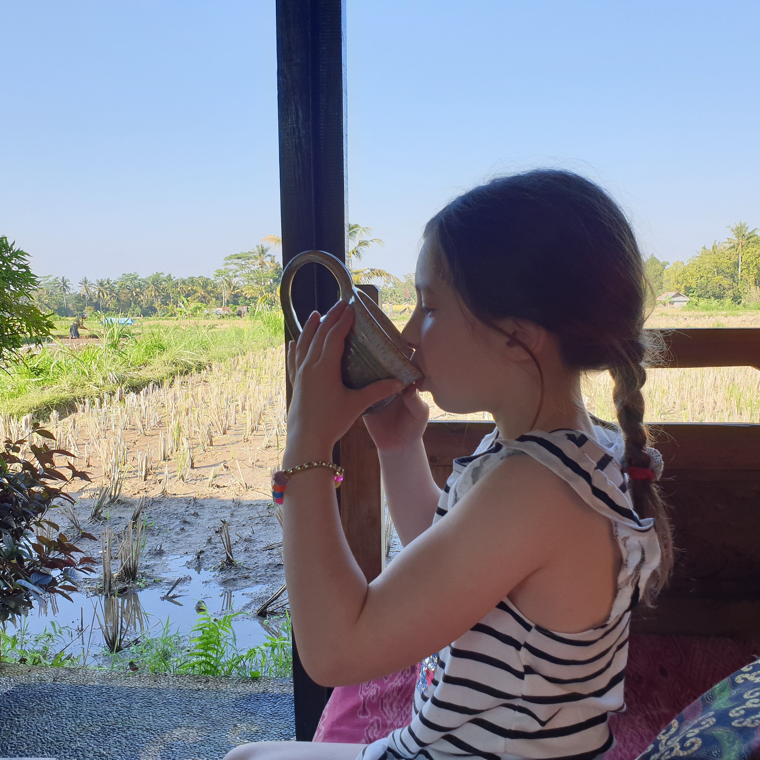 Swallow Guesthouse Bali-官方