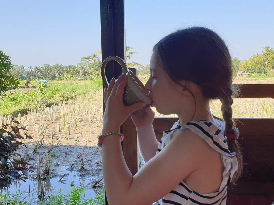 Swallow Guesthouse Bali主图