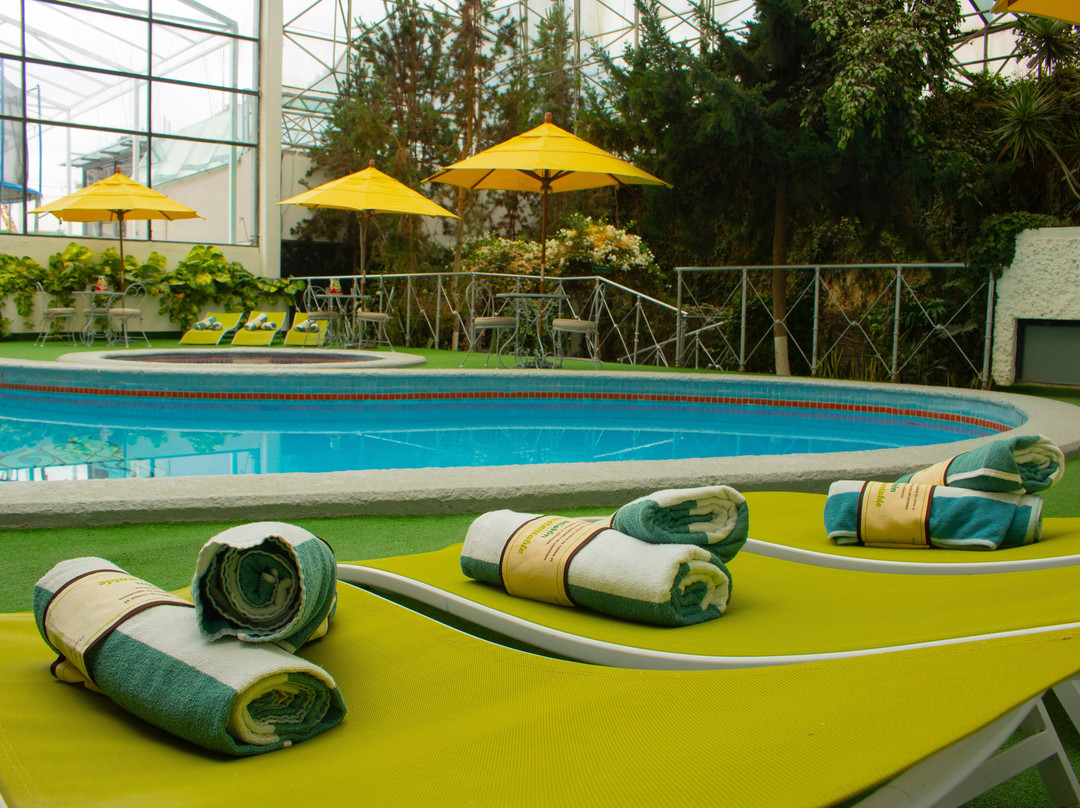 Mision Pachuca主图