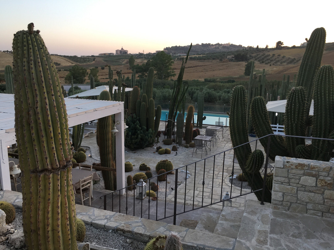 Garden Cactus - Relais, Suite de Charme and Botanical Park主图