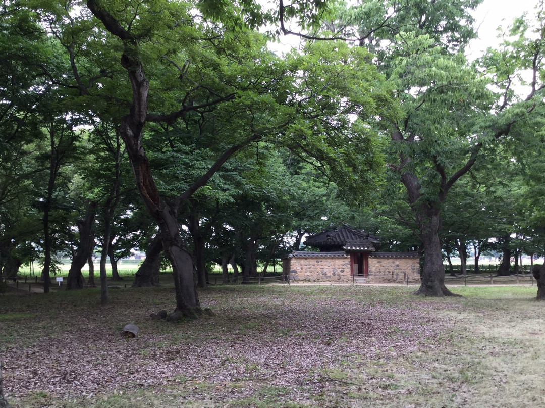 Gyerim Forest-庆州市必去景点