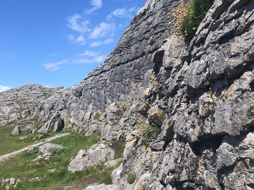 Beauty Of The Burren Walks景点图片