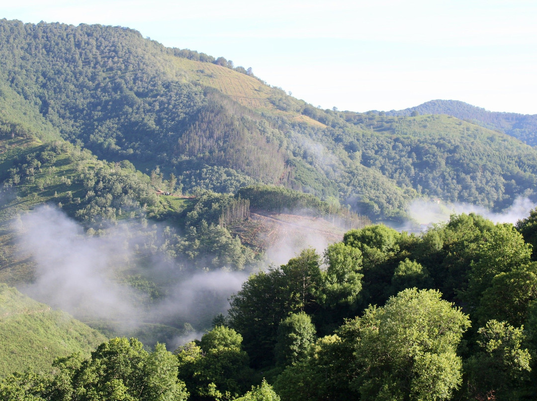 Arantza Hotela主图