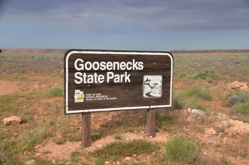 Goosenecks State Park景点图片
