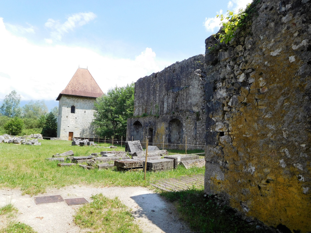 Chateau Thomas II de Savoie景点图片