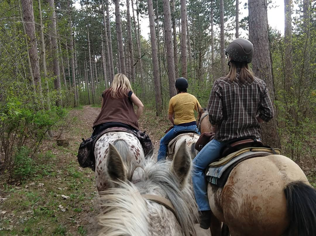 Wild 3L Ranch-Eagle必去景点