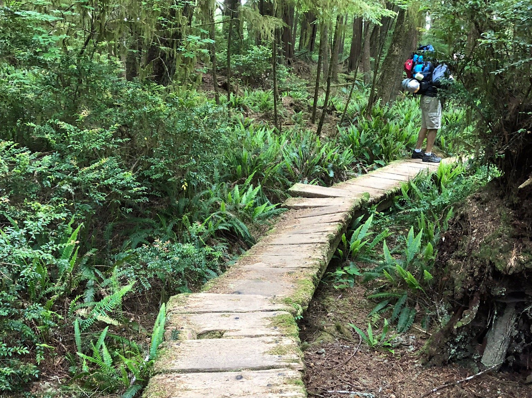 Ozette Loop Hike景点图片