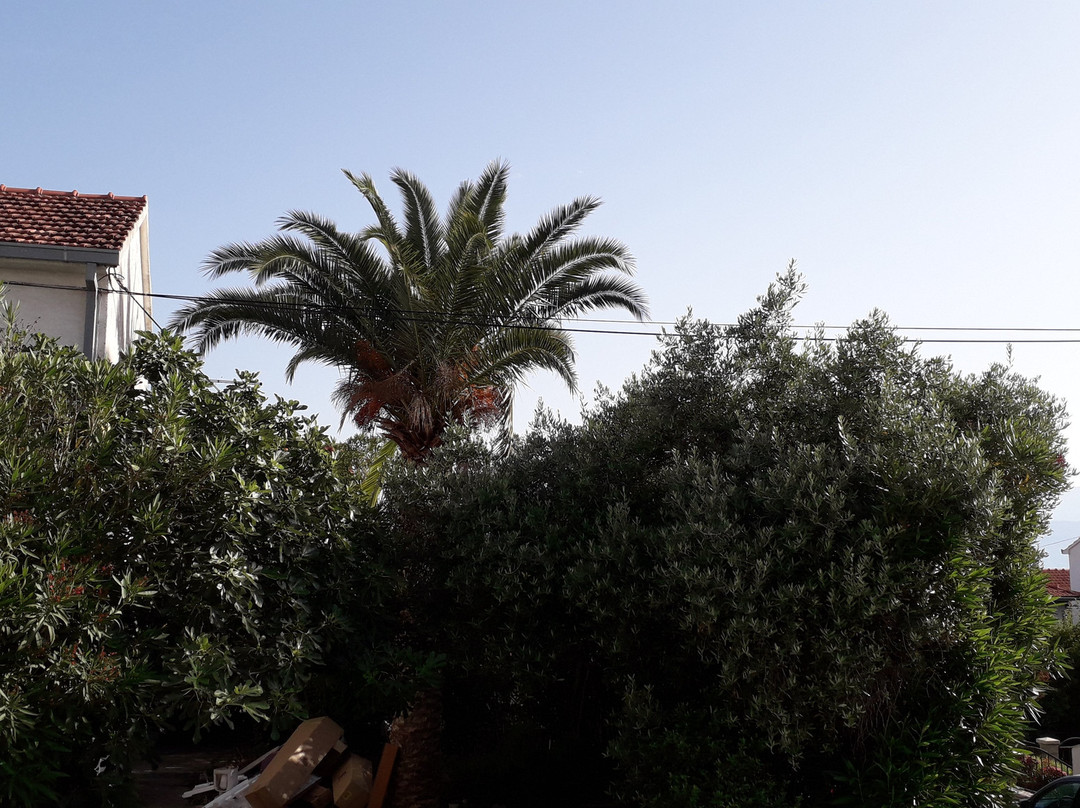 Rooms Sunce Residence主图