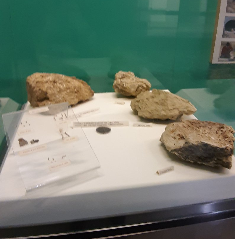 Museo Nazionale del Paleolitico-伊塞尔尼亚必去景点