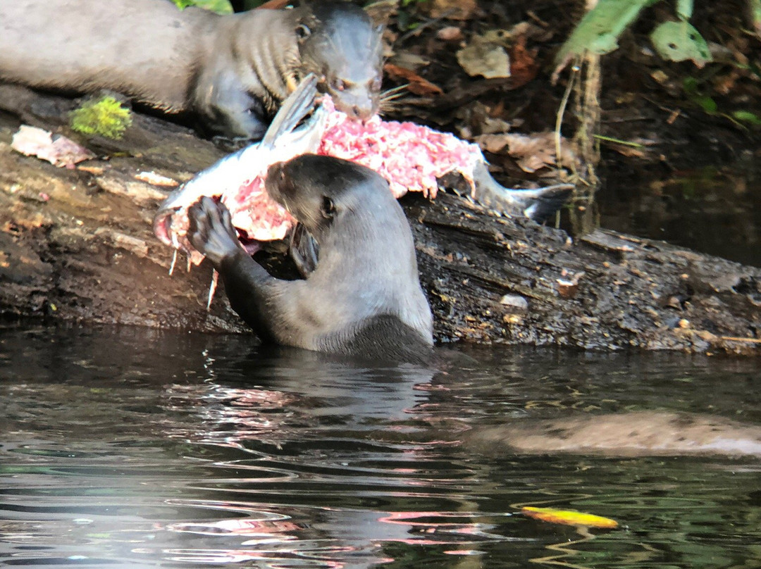 Enashawa Lodge主图