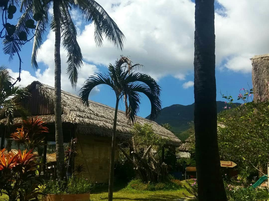 Jungle Beach VietNam主图