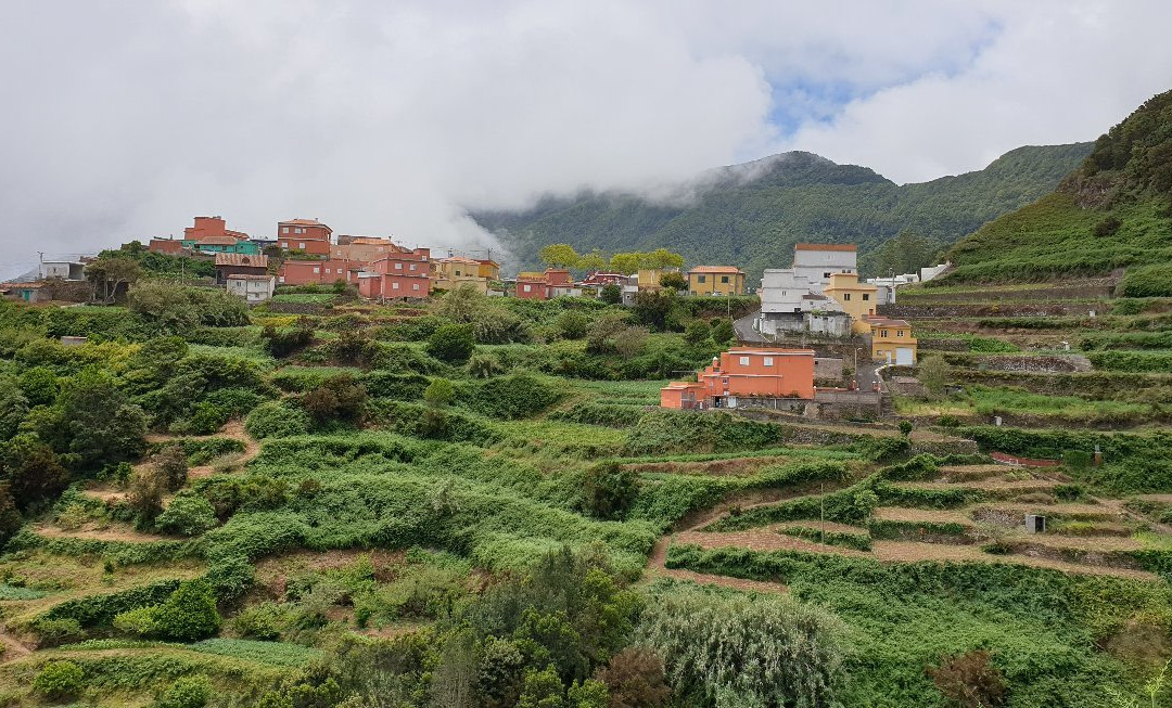 Tenerife Private Tours-德拉克鲁兹索尔港必去景点