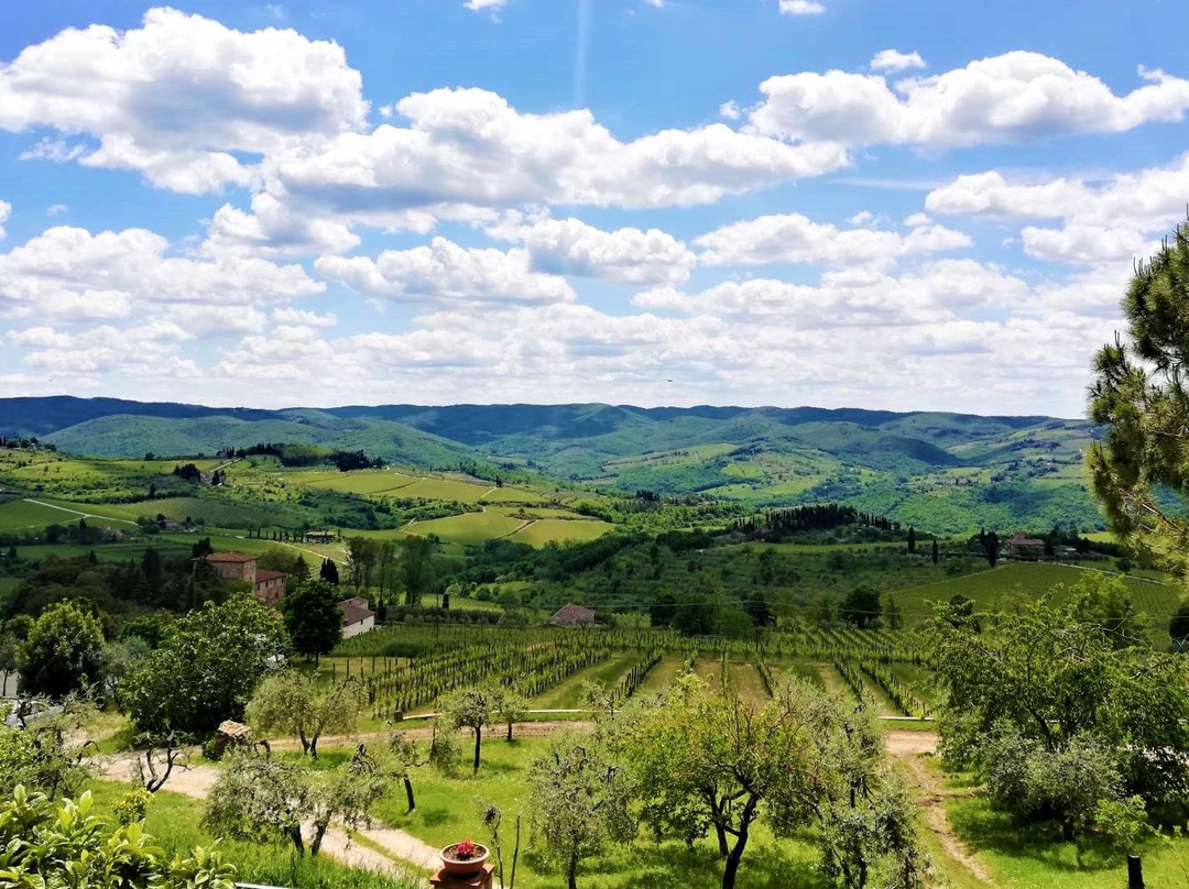 Happy in Tuscany di Firas Shibeeb-佛罗伦萨必去景点