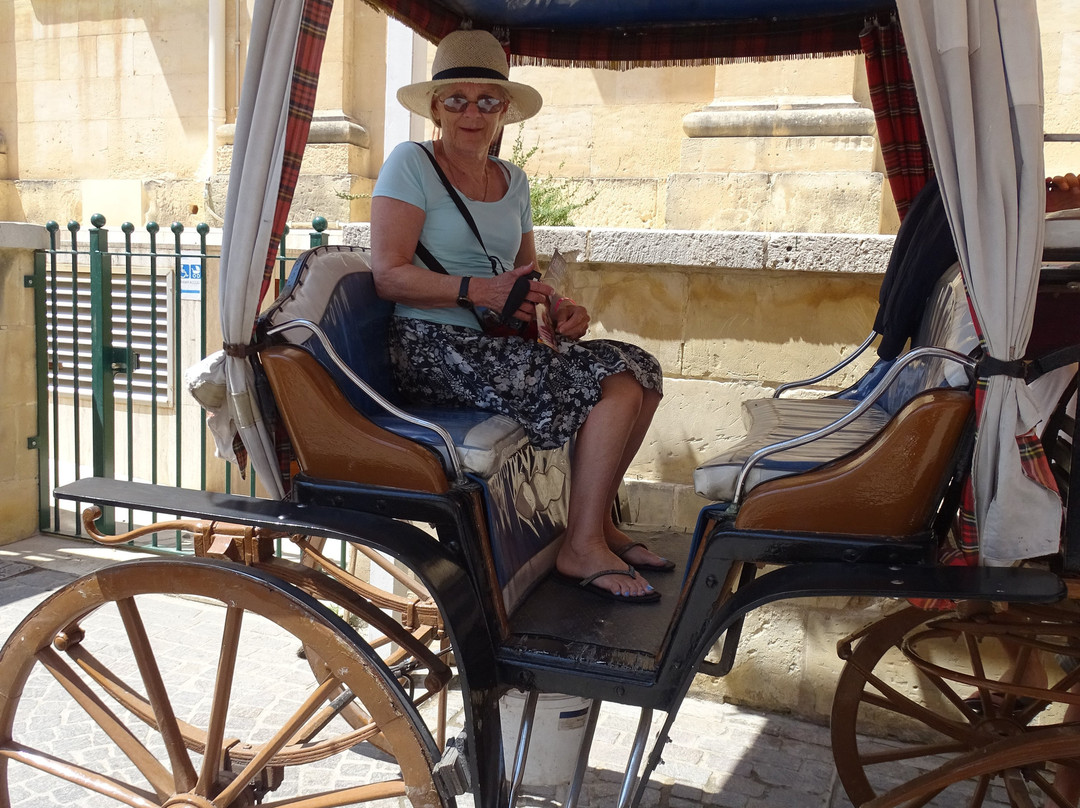 Coach and Horses-Msida必去景点