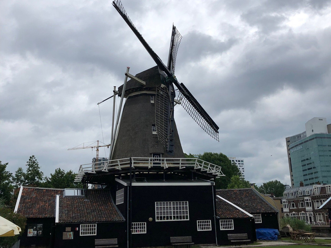 Houtzaagmolen De Ster-乌特勒支必去景点