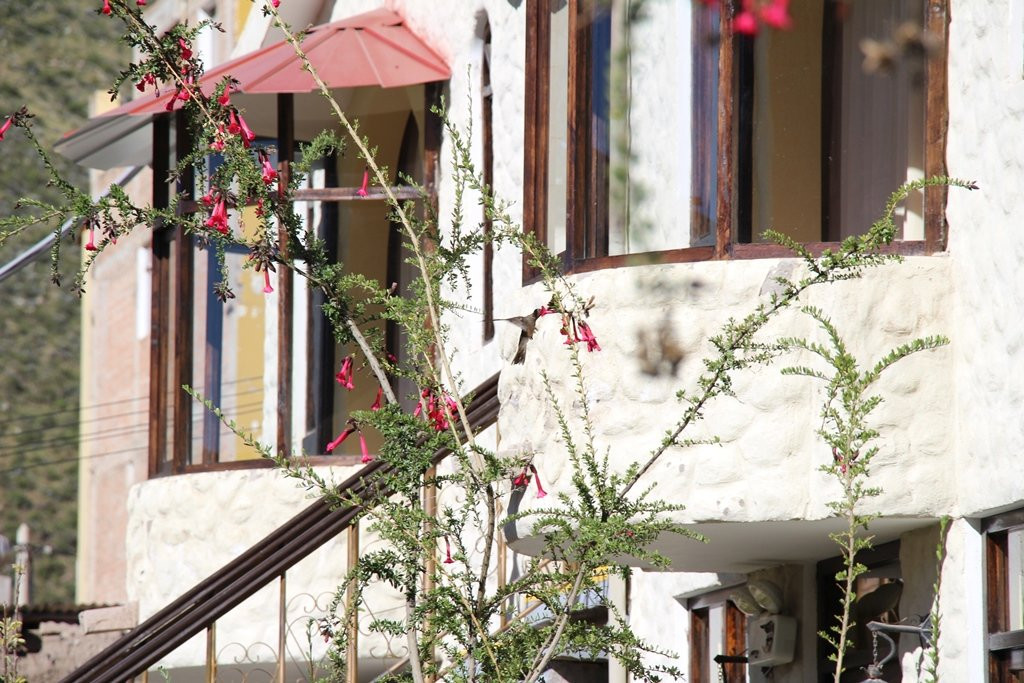 Colca Llaqta Hotel主图