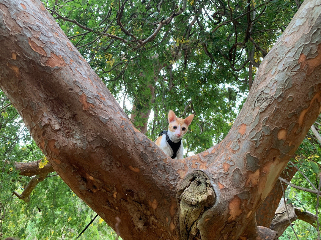 Malvern Gardens-Malvern必去景点