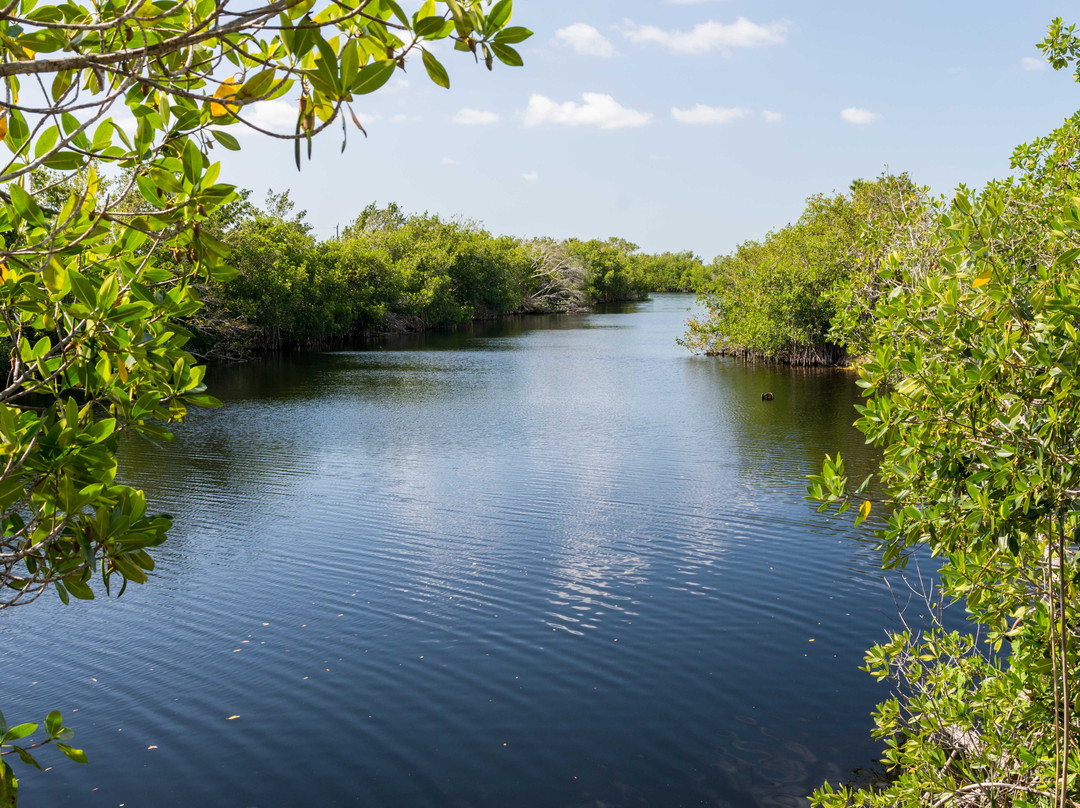 Big Cypress Swamp Welcome Center景点图片