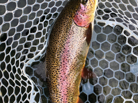 Reel Adventures Guide-雷丁必去景点