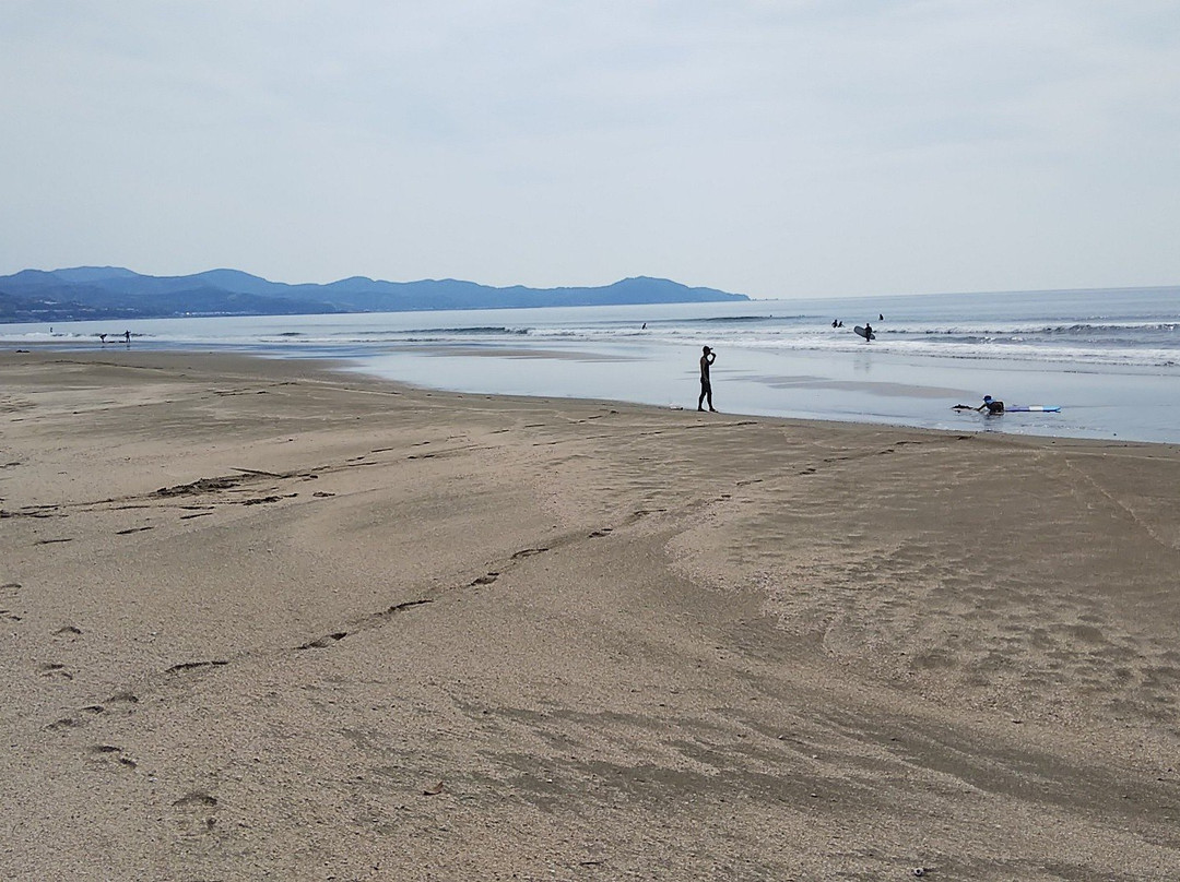 Seaside Gallery-黑潮町必去景点