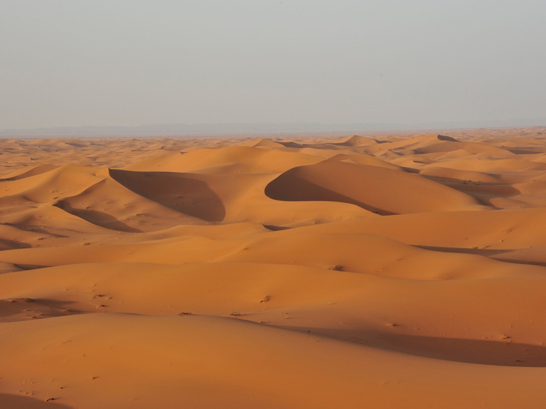 Desert Boussole Tours-马拉喀什必去景点