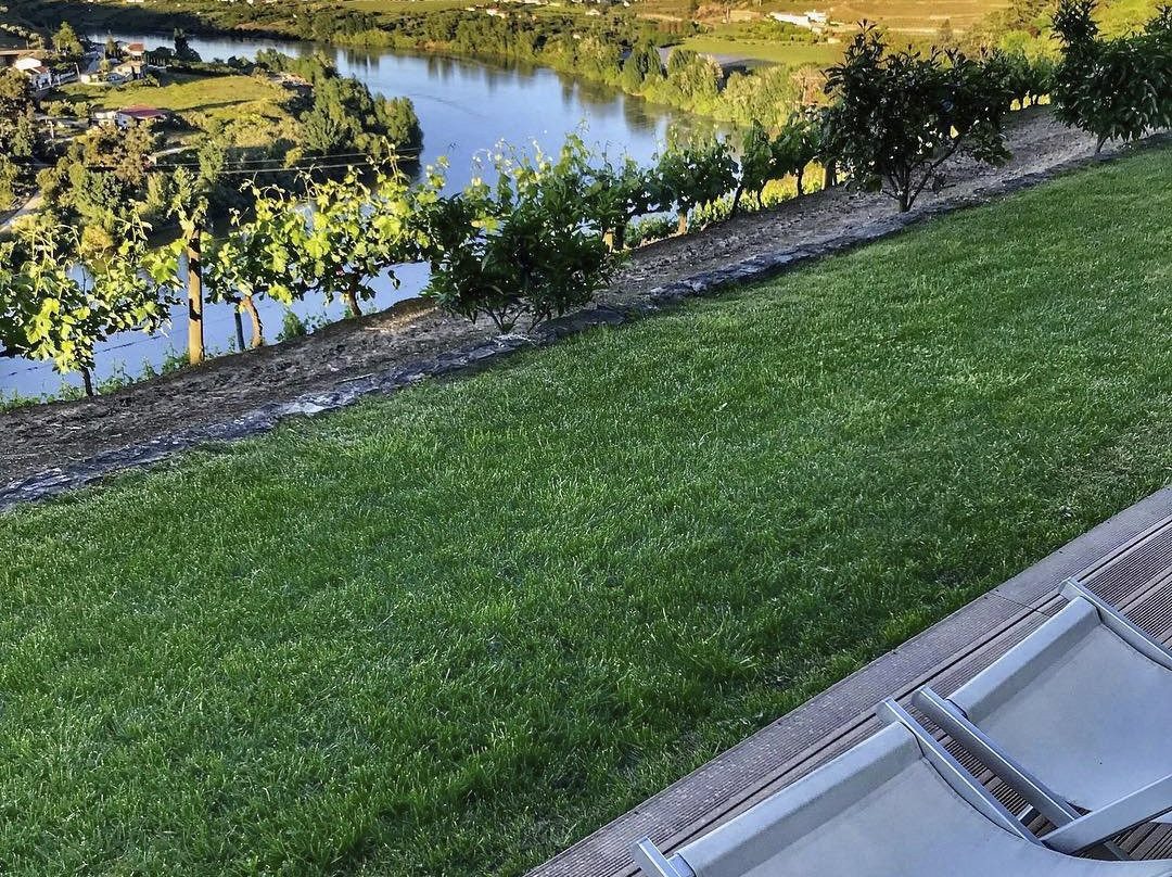 Delfim Douro Hotel主图