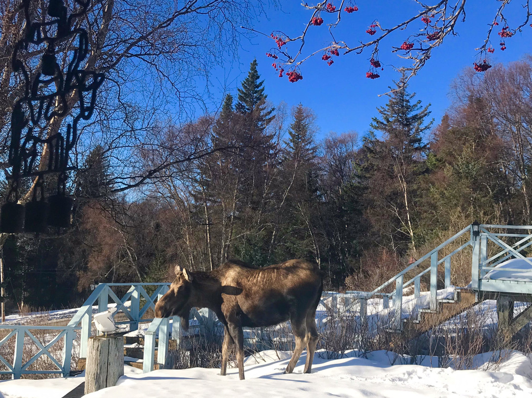 太平岭住宿加早餐旅馆主图