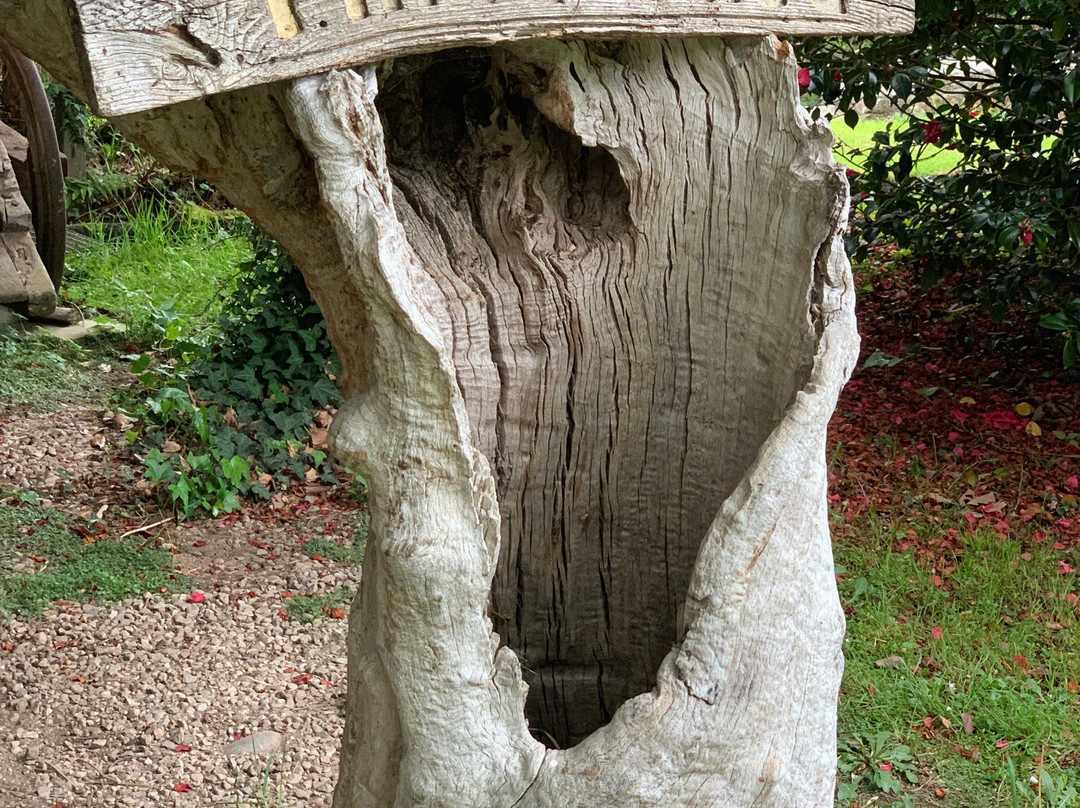 Finca Galea-Alfoz必去景点