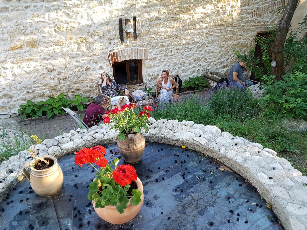 Casa Thea