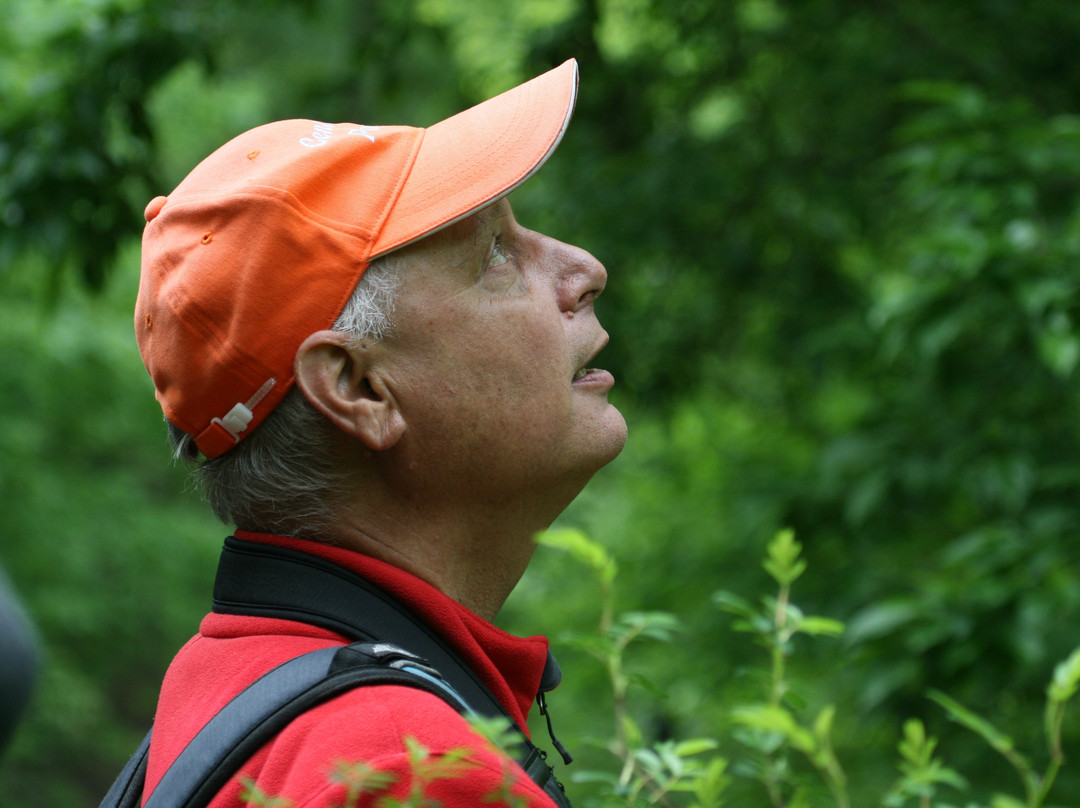 Birding Bob-纽约市必去景点