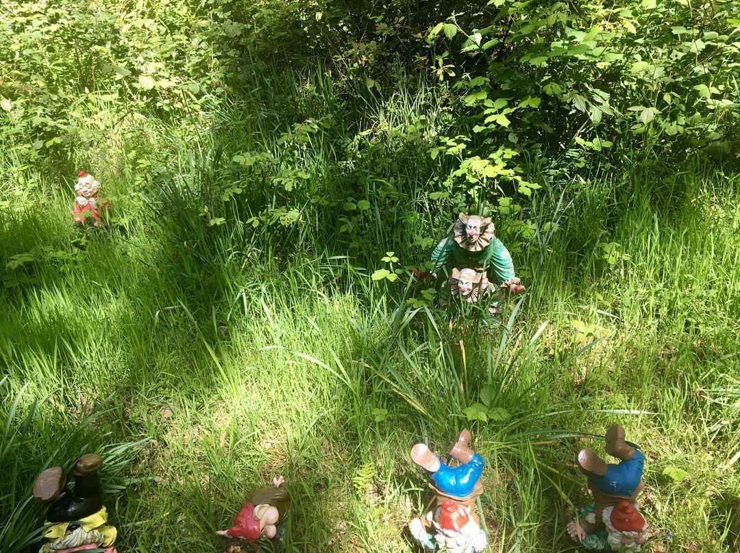 Gnome Magic Garden景点图片