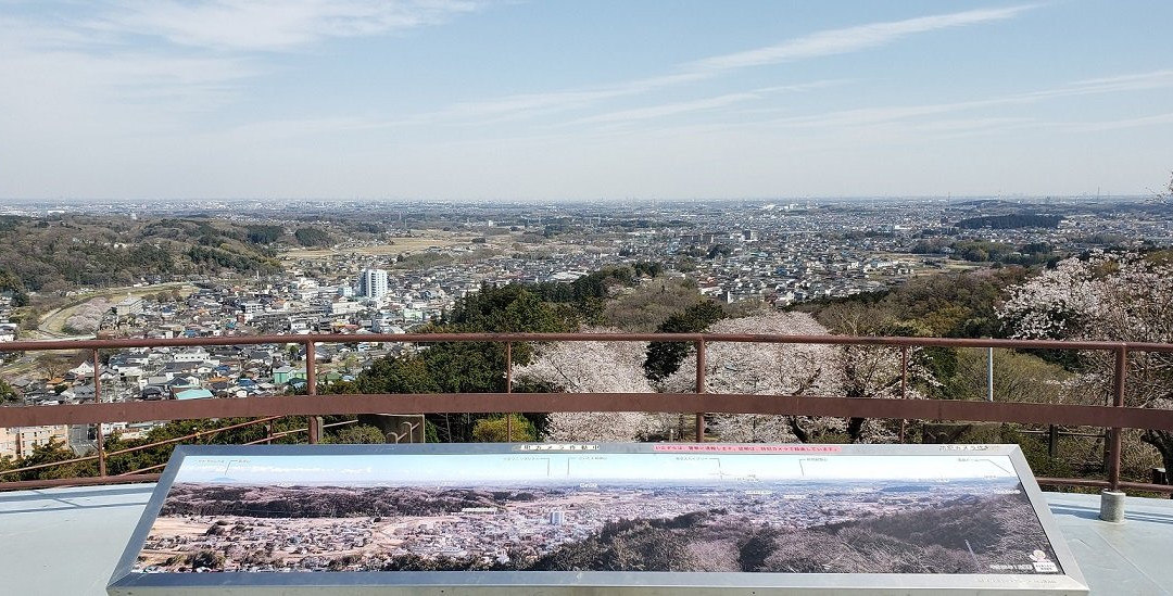 Sakuranoyama Park-越生町必去景点