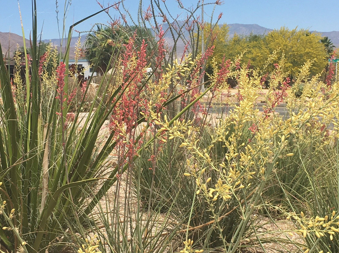 Borrego Art Institute-波瑞戈泉必去景点