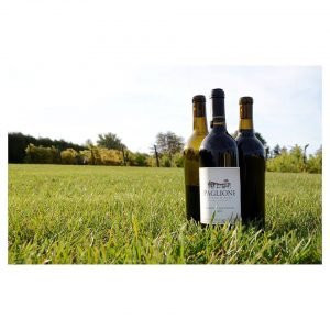 Paglione Estate Winery-Harrow必去景点