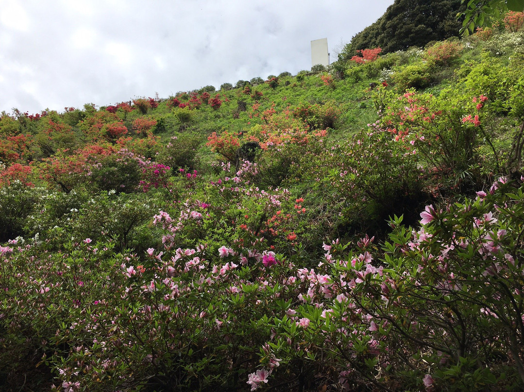 Sekai Mumei Senshi no Haka-越生町必去景点