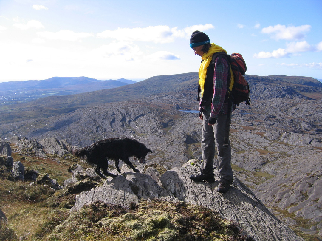 Bellatrix Bed and Breakfast for Women主图