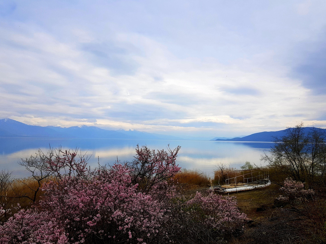Breathe in Travel景点图片