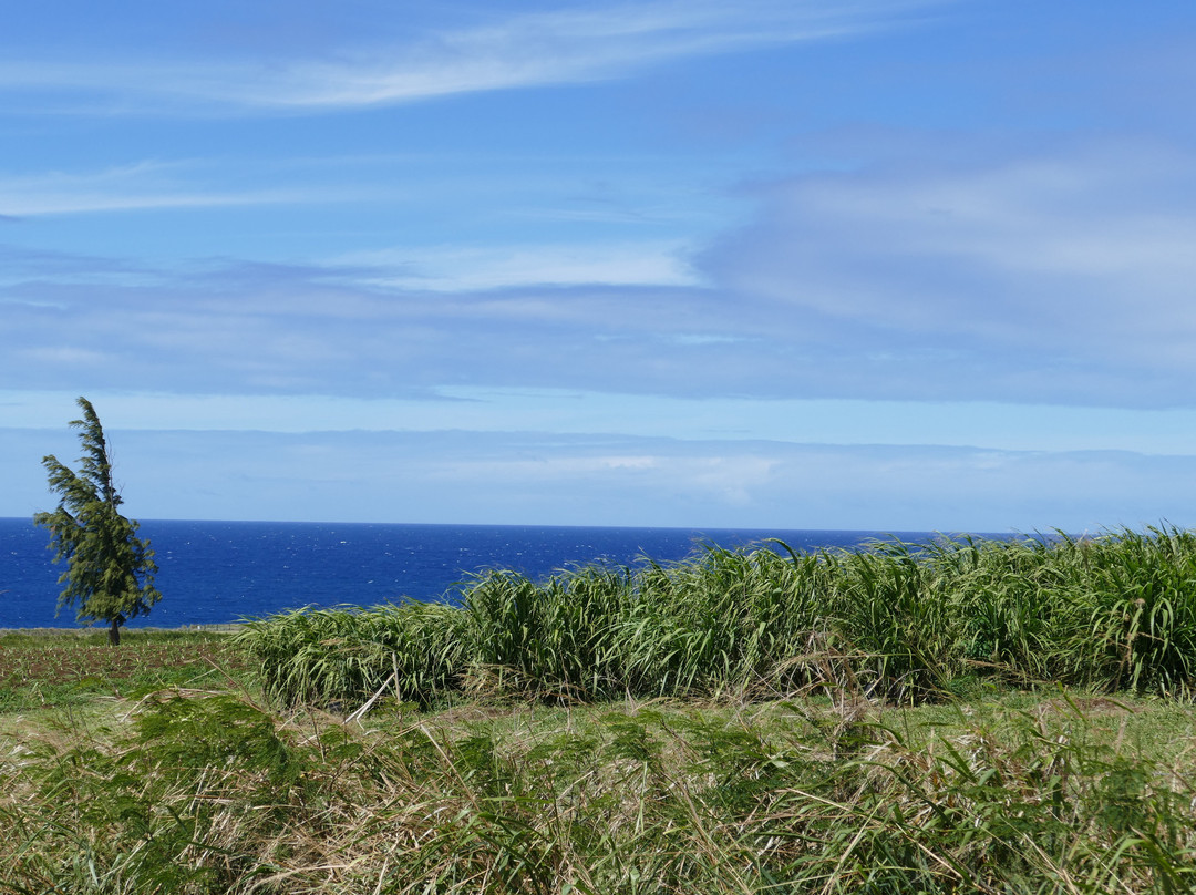 Upolu Point-哈威必去景点
