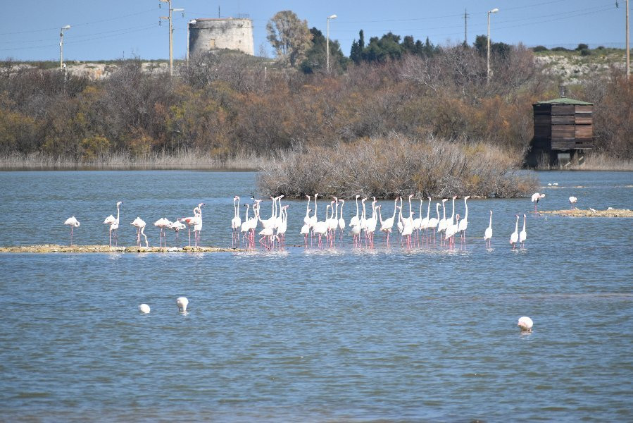 Riserva Naturale Saline di Priolo-Priolo Gargallo必去景点