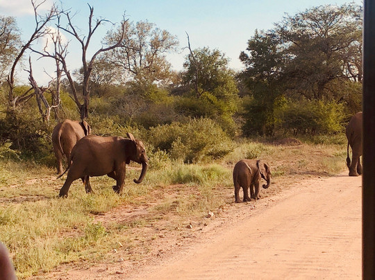 Beyond the Boma主图