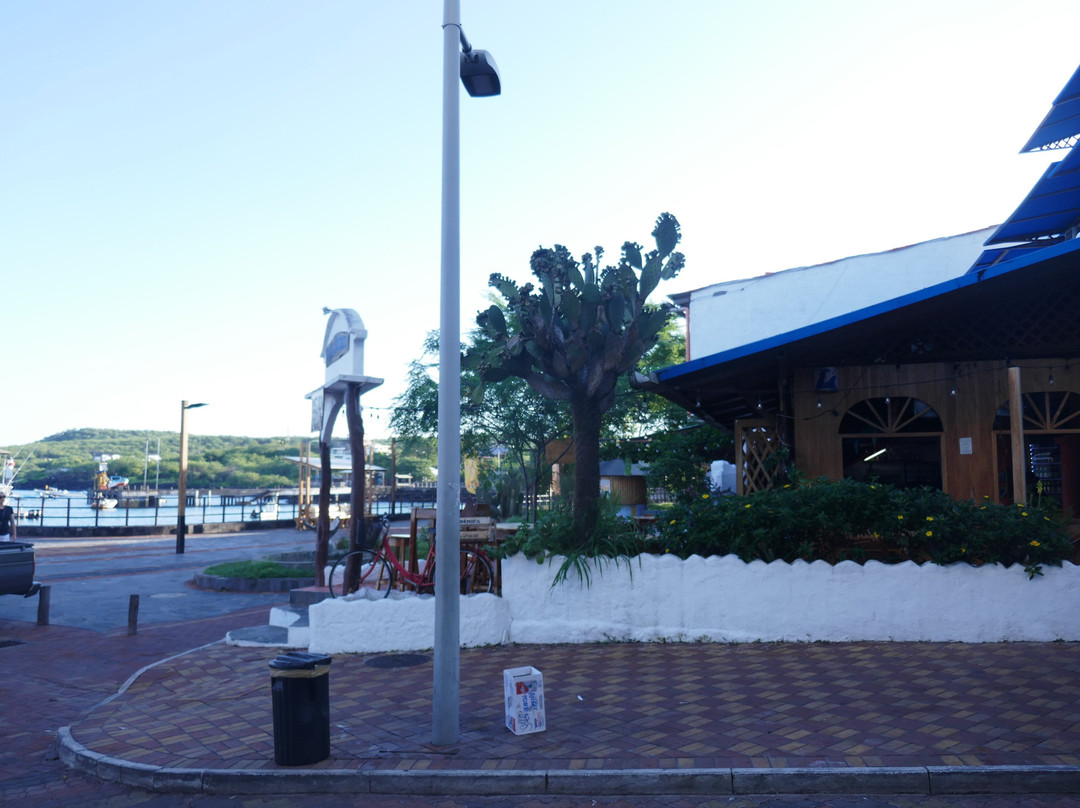 Galapagos Sunset Hotel主图