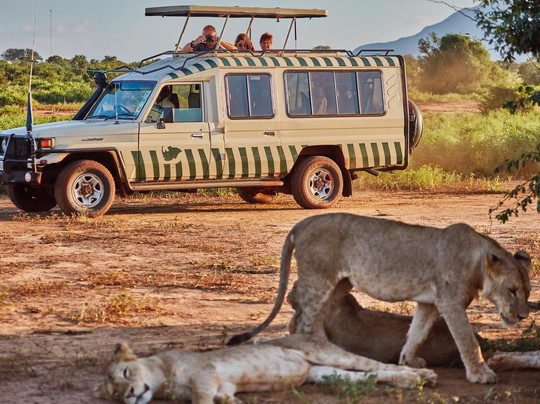 Rhino Safaris-内罗毕必去景点