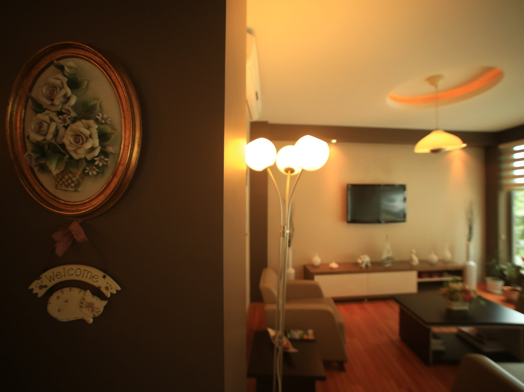 Lonca Butik Hotel主图