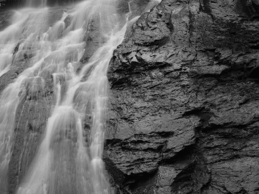 Cave Hill Farm Bed and Breakfast主图