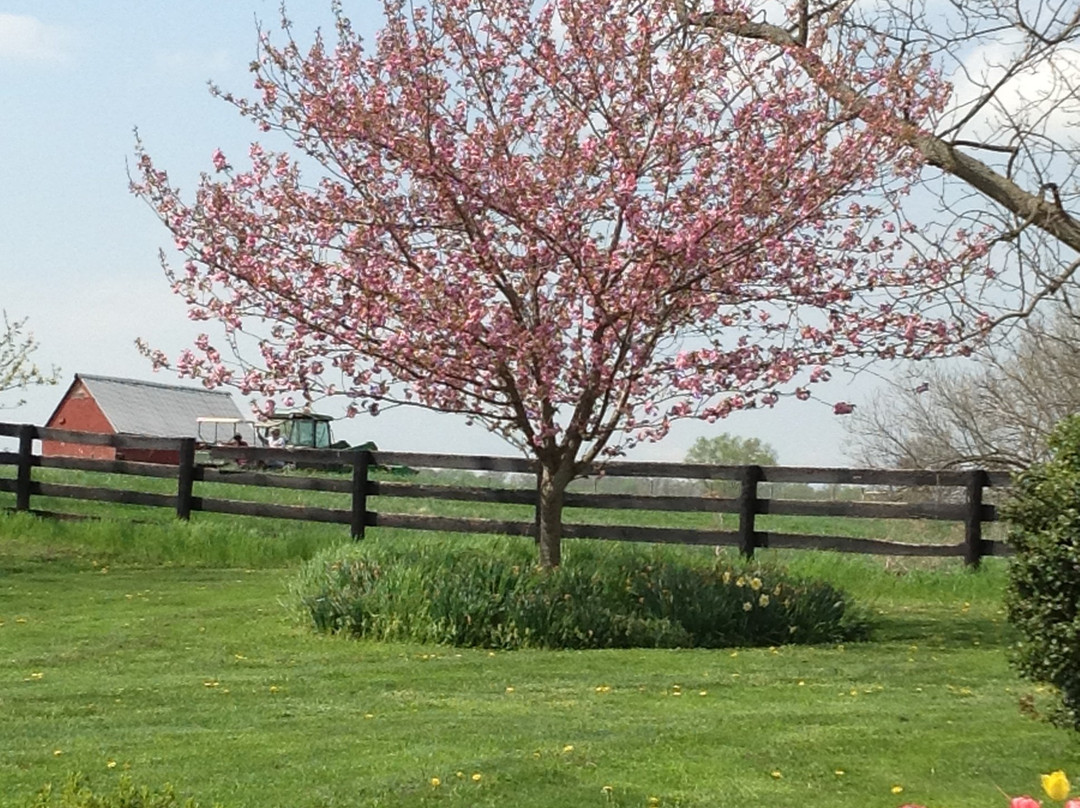 Smithfield Farm Bed and Breakfast主图