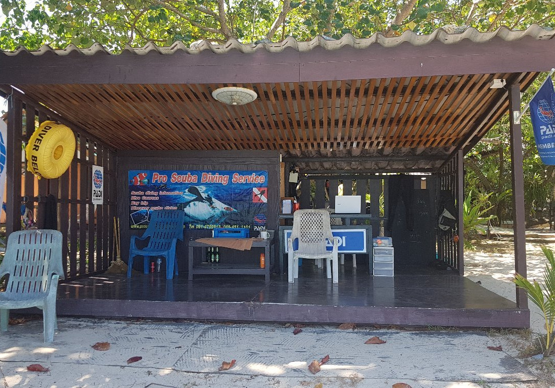 Pro Scuba Diving Service-克雷登岛必去景点