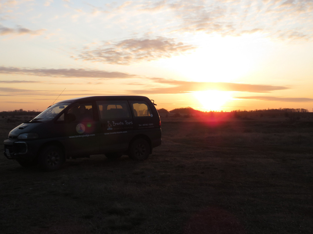 Branta Birding Lodge