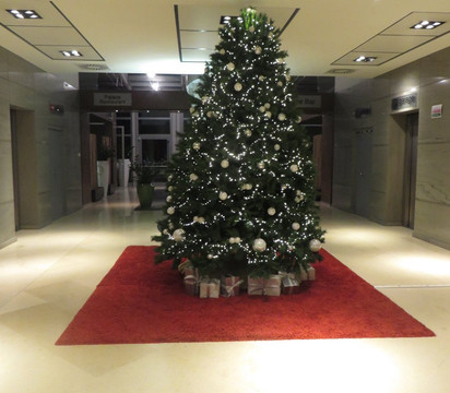 威尼斯拉古纳宫NH酒店主图